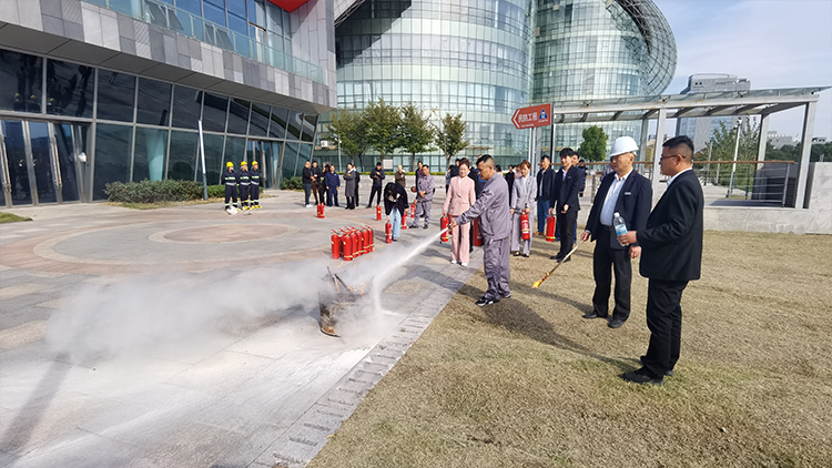 1731054008163798okZf.jpg 2.jpg